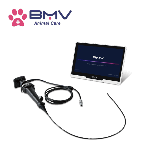 EquiScan™ BVI-11 Multipurpose Portable Veterinary Endoscope
