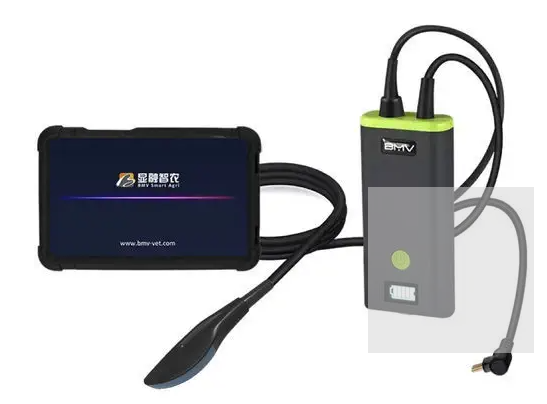 Hand-held veterinary ultrasound system BestScan® S5 Plus Convex-Array Vet