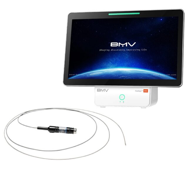 BUM-DG20-31R Radial Miniature Probe (Gastroenterology)