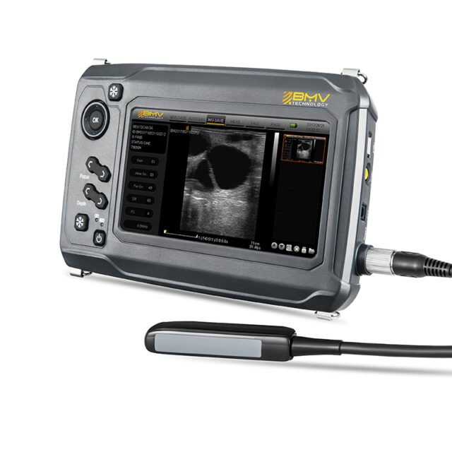 BestScan® S6 Compact Touch Ultrasound System for Small and Large Animal Scanning