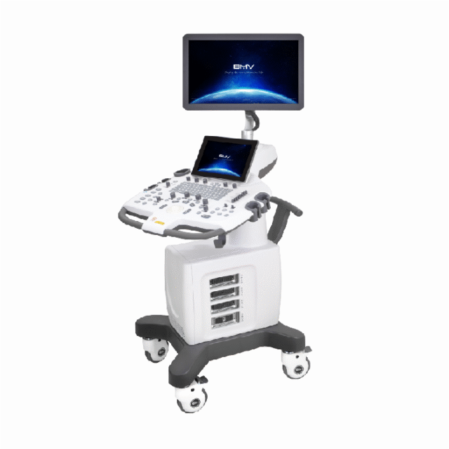 BPU100 Advanced Color Doppler Ultrasound Scanner System